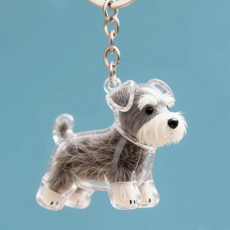 Dog Hair Storage Box Keychain Transparent